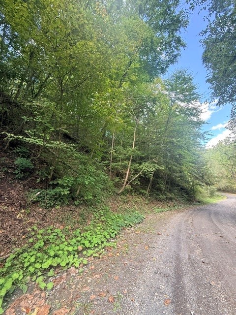 Hill Road Millport, NY 14864 - Photo 11 of 14 Gallery Image 11