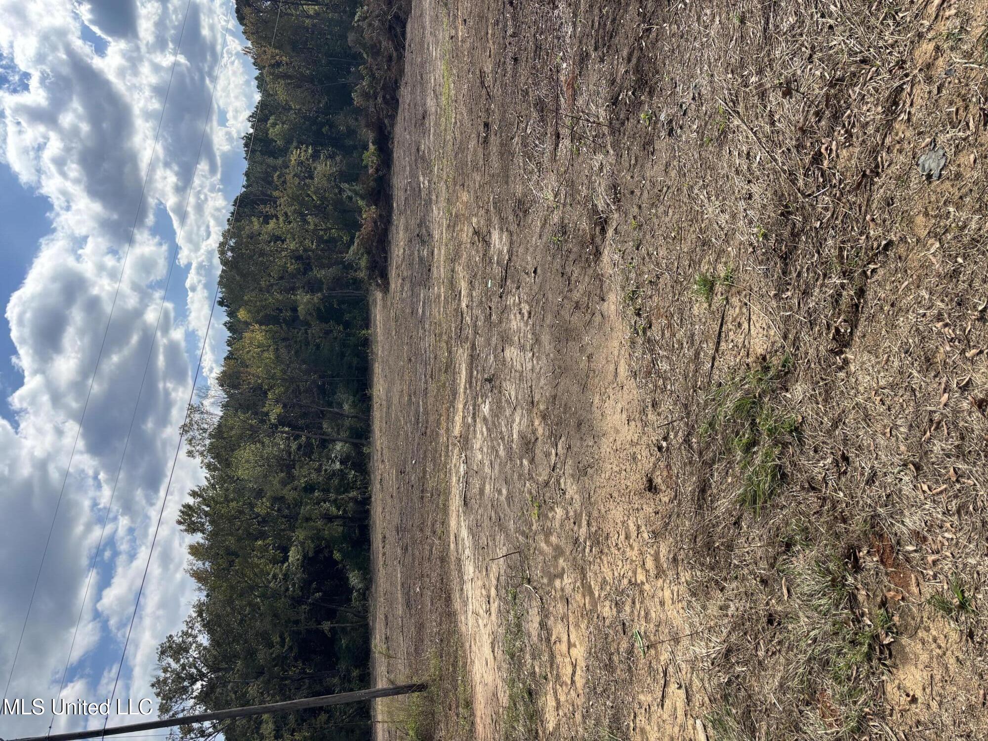 Country Lane Philadelphia, MS 39350 - Photo 2 of 6 Picture of Lot