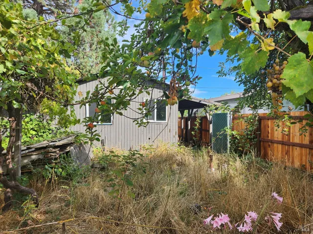 a backyard of a house with lots of green space