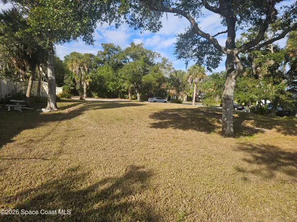 a view of dirt yard with a large tree