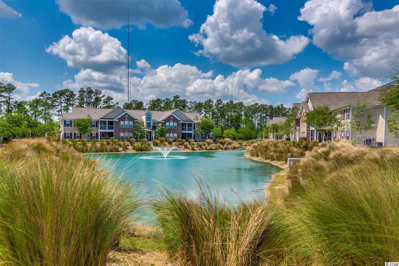 119 Veranda Way, Unit D Murrells Inlet, SC 29576 - Photo 23 of 25 Gallery Image 23