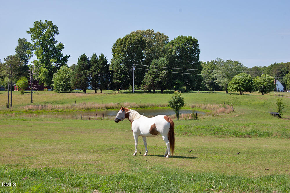 9166 Tilley Road Bullock, NC 27507 - Photo 31 of 86