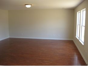 63 Springwinds Loop Johnson City, TN 37601 - Photo 4 of 7 Living Room Similar