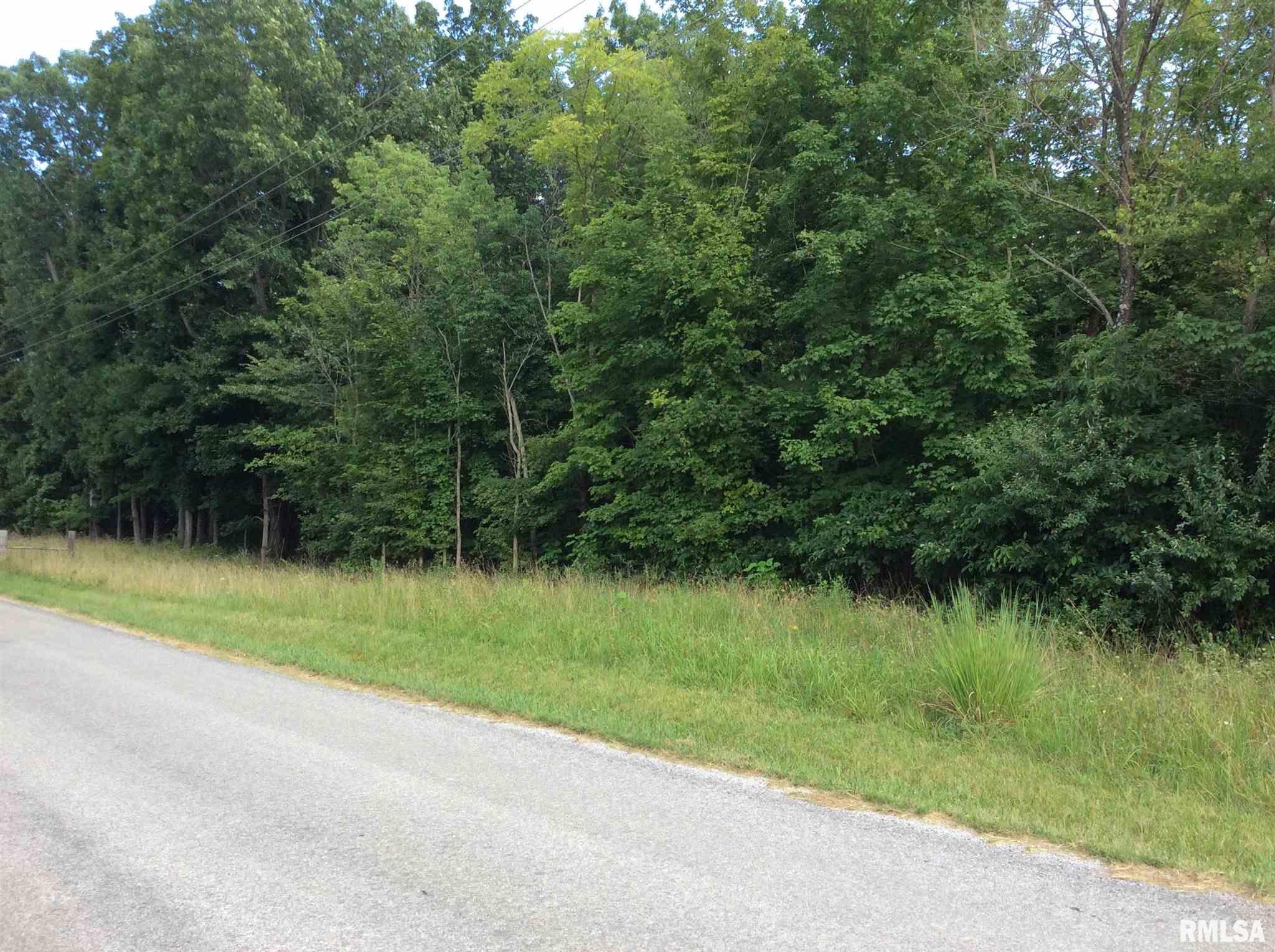 0 East Knox Road Mount Vernon, IL 62864 - Photo 11 of 13