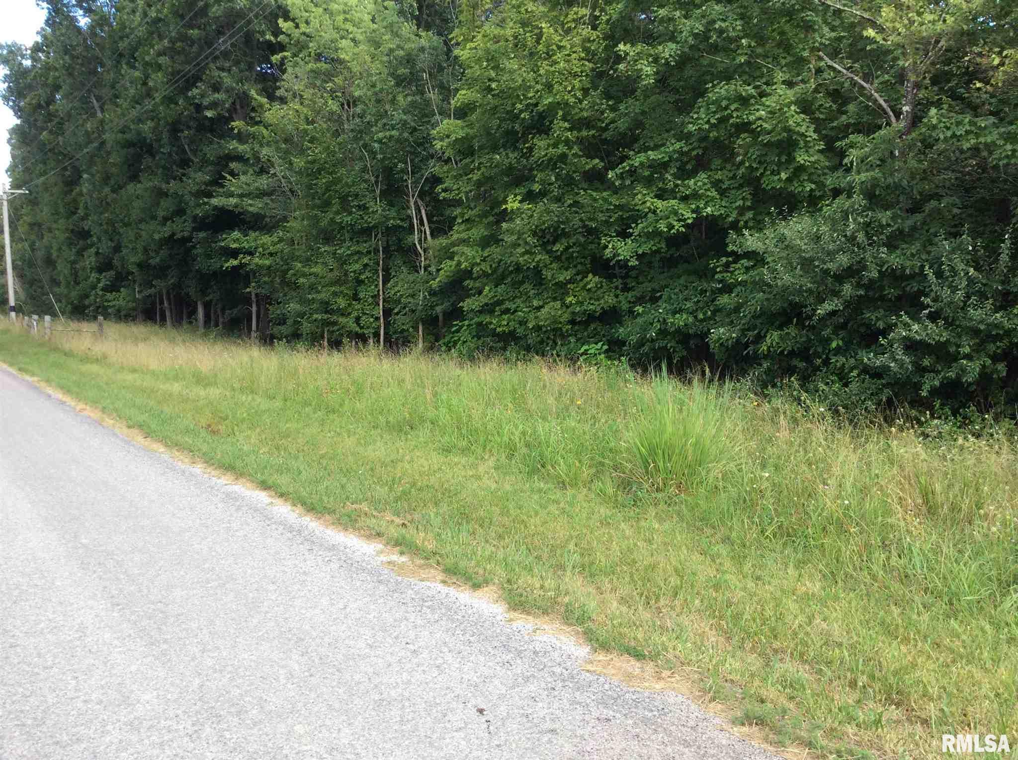 0 East Knox Road Mount Vernon, IL 62864 - Photo 12 of 13