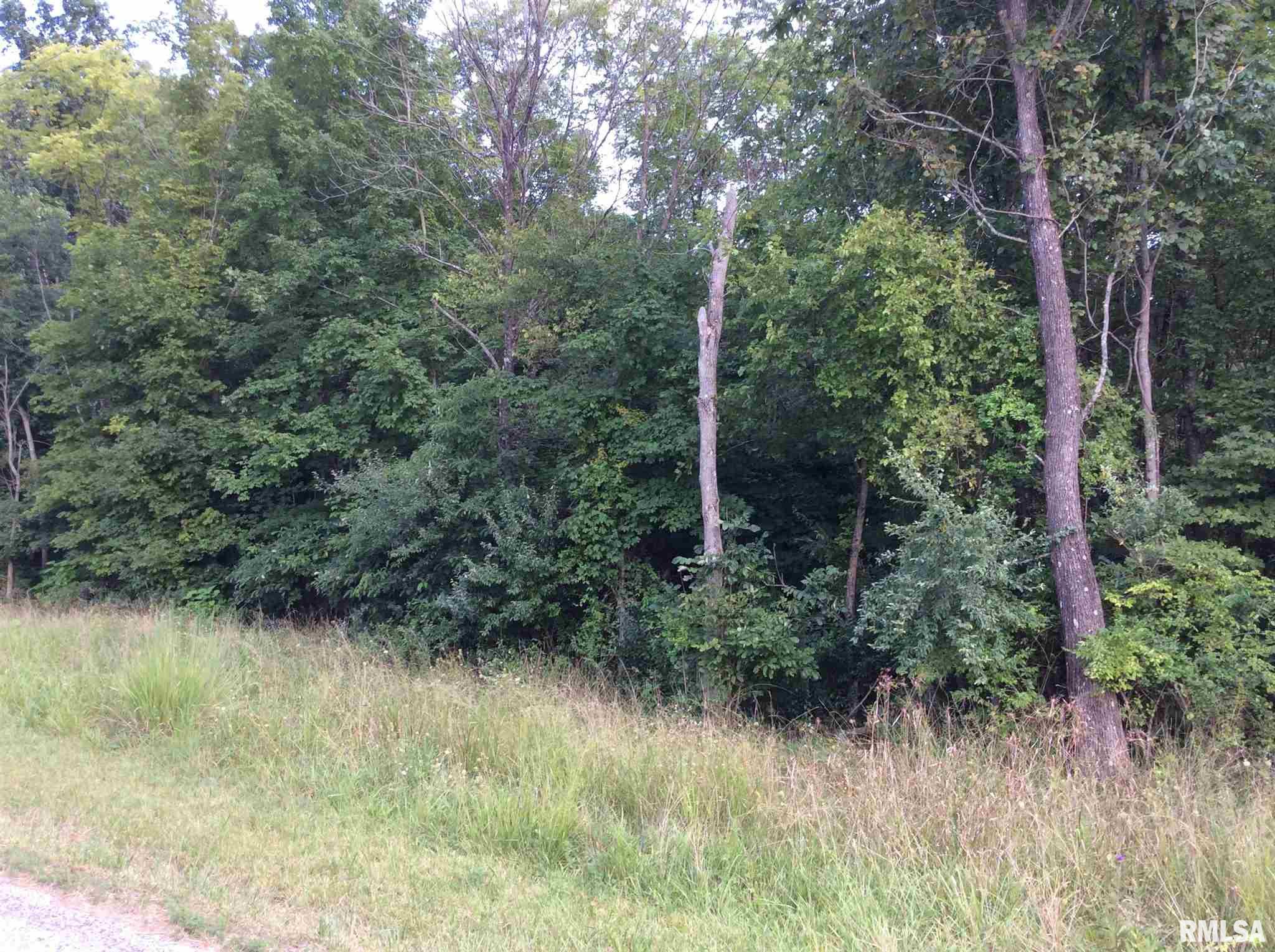 0 East Knox Road Mount Vernon, IL 62864 - Photo 8 of 13