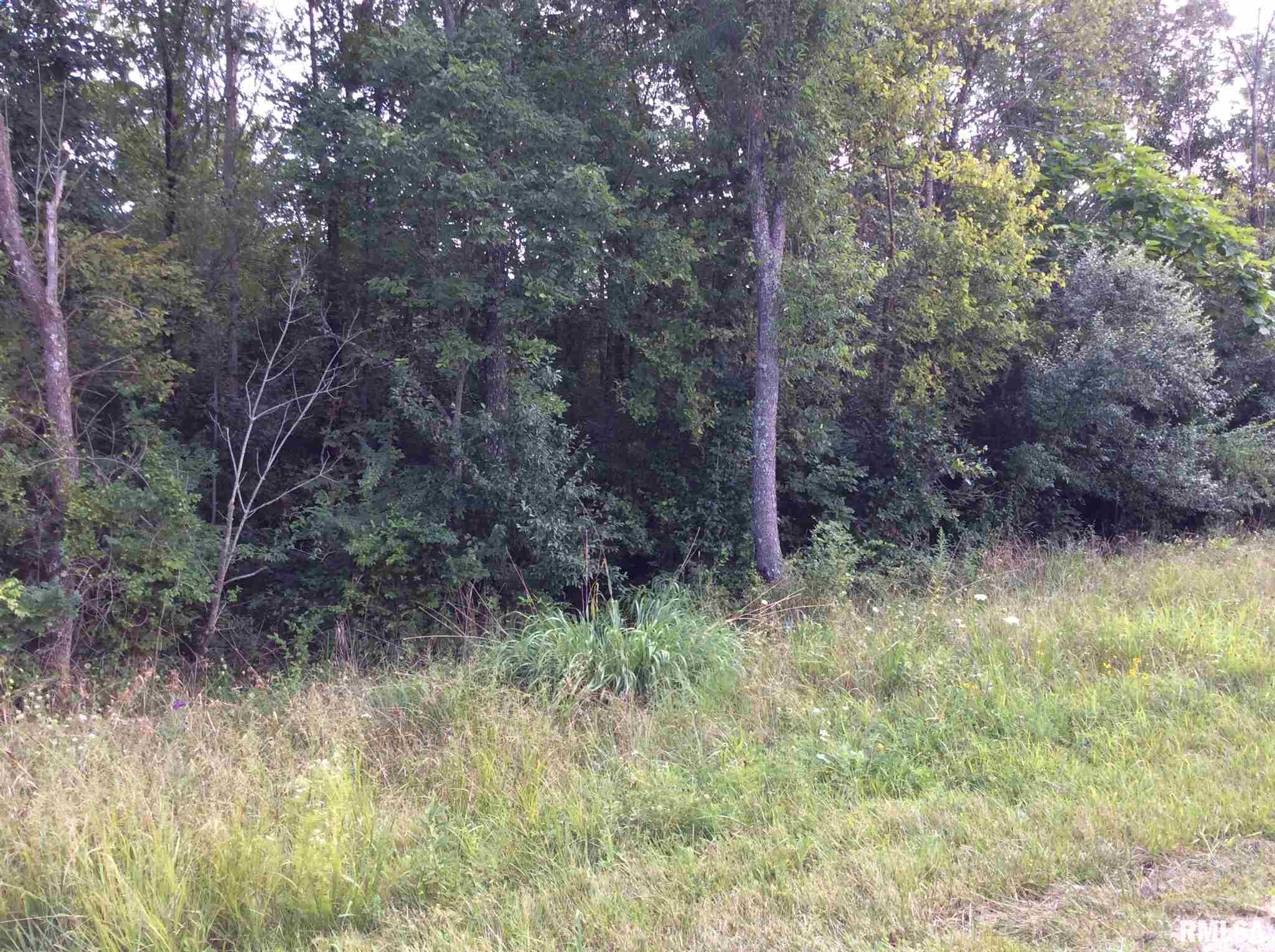 0 East Knox Road Mount Vernon, IL 62864 - Photo 9 of 13