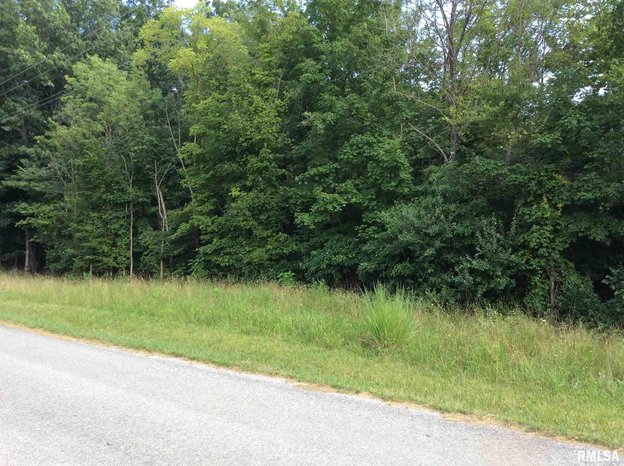 0 East Knox Road Mount Vernon, IL 62864 - Photo 10 of 13