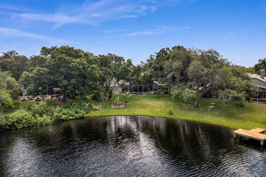 8412 Ridgebrook Circle Odessa, FL 33556 - Photo 21 of 87