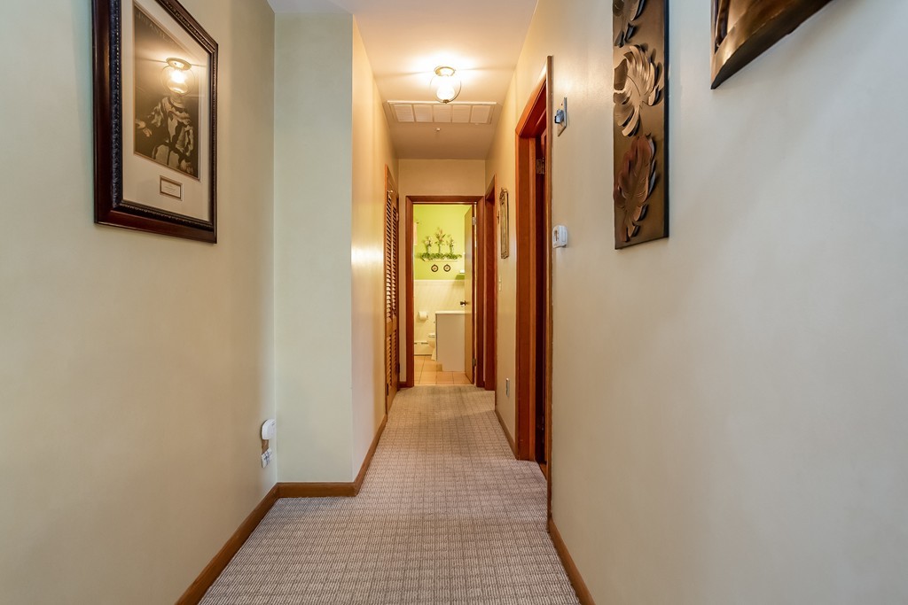 166 Nagle Street Springfield, MA 01151 - Photo 16 of 30 Gallery Image 16