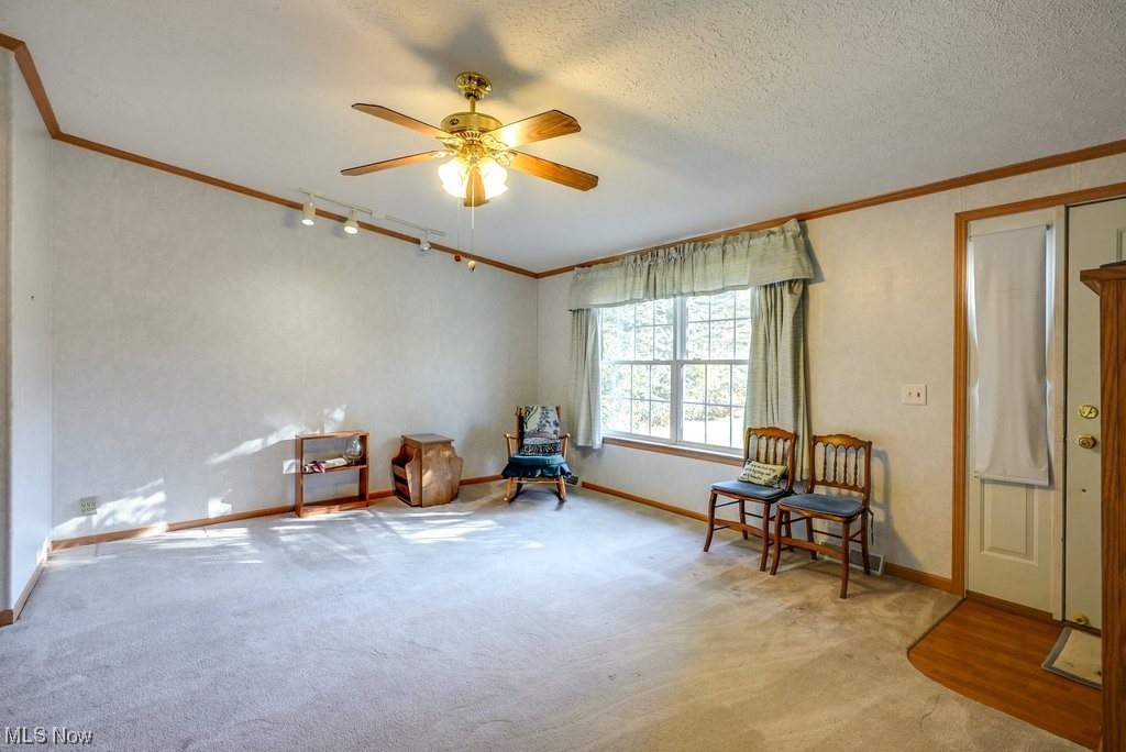 1189 Sandy Lake Road Ravenna, OH 44266 - Photo 14 of 32 Sitting room with light colored carpet, ceiling fan, ornamental molding, and a textured ceiling
