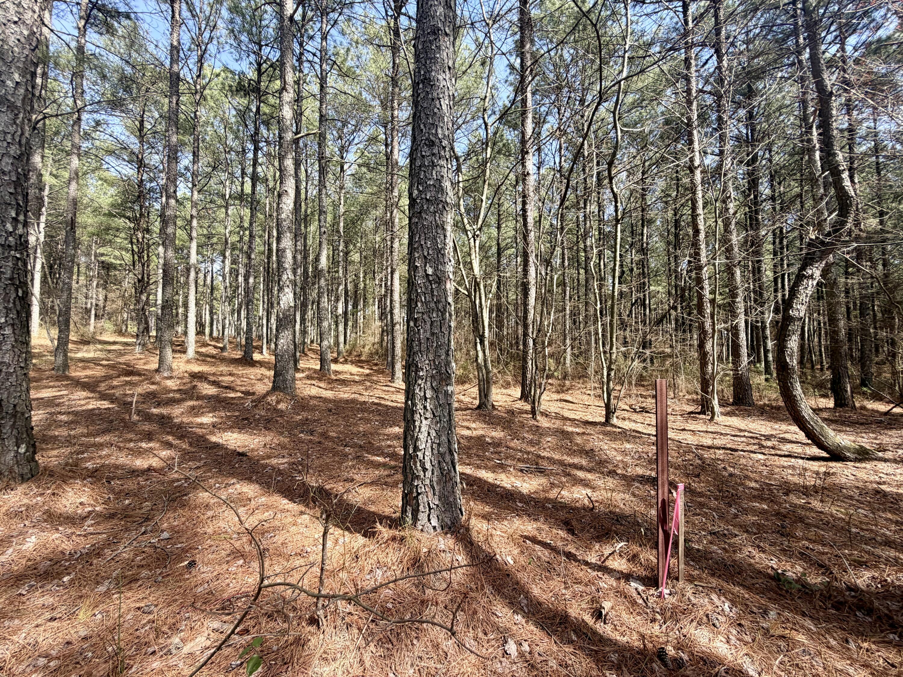 2076 Meditation Lane Guild, TN 37340 - Photo 11 of 28 IMG_1214