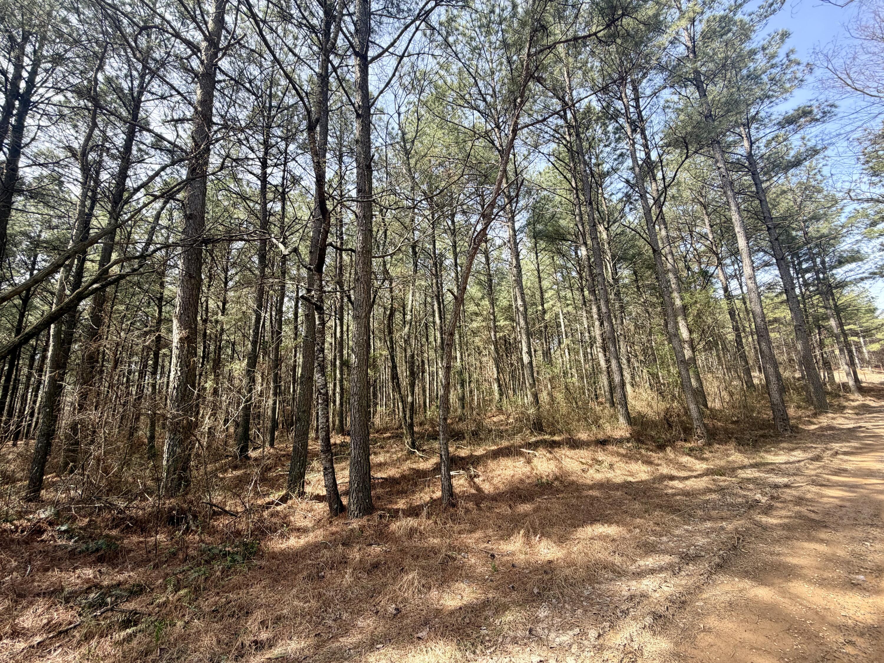 2076 Meditation Lane Guild, TN 37340 - Photo 18 of 28 IMG_1205