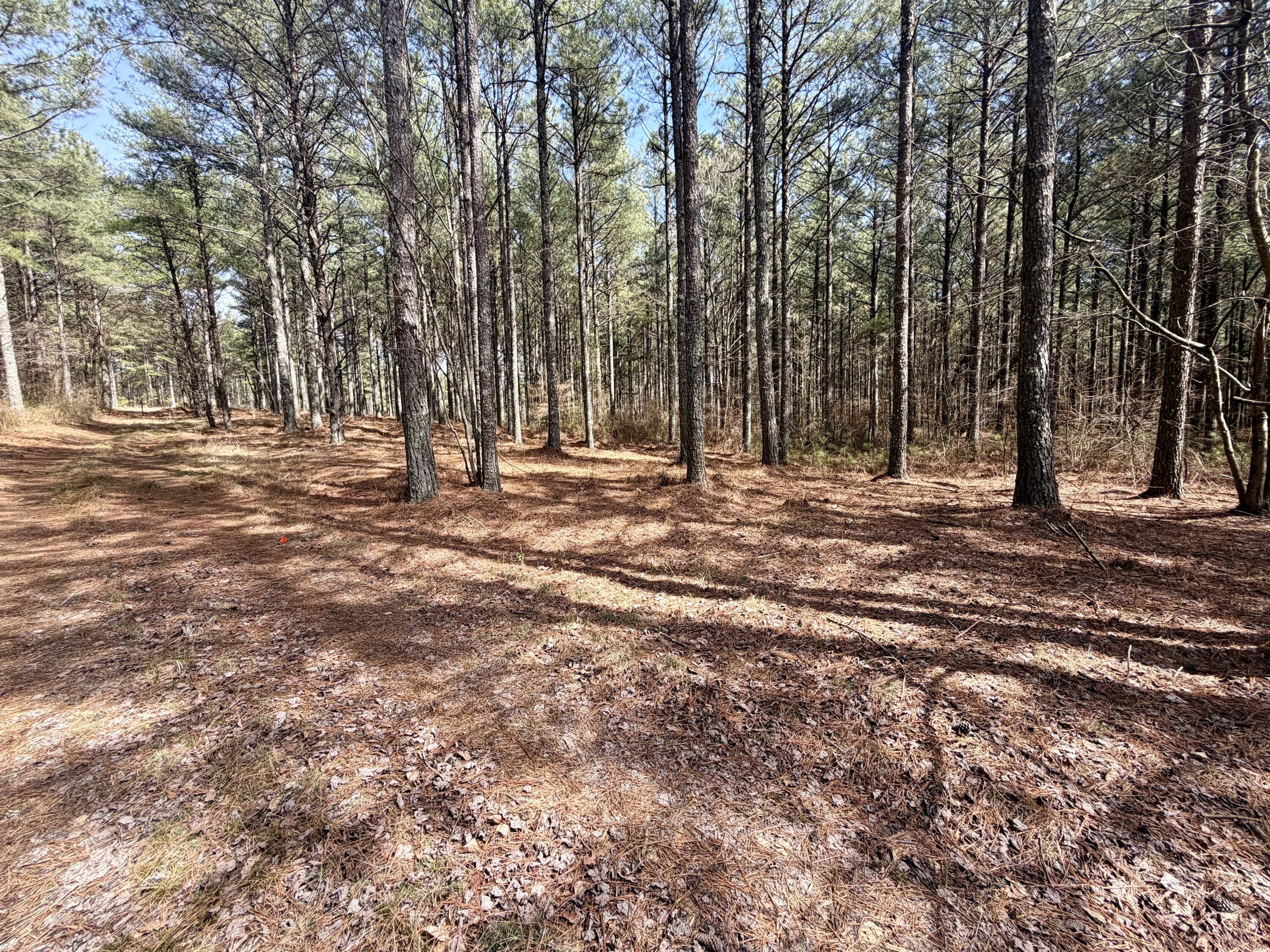 2076 Meditation Lane Guild, TN 37340 - Photo 7 of 28 IMG_1218