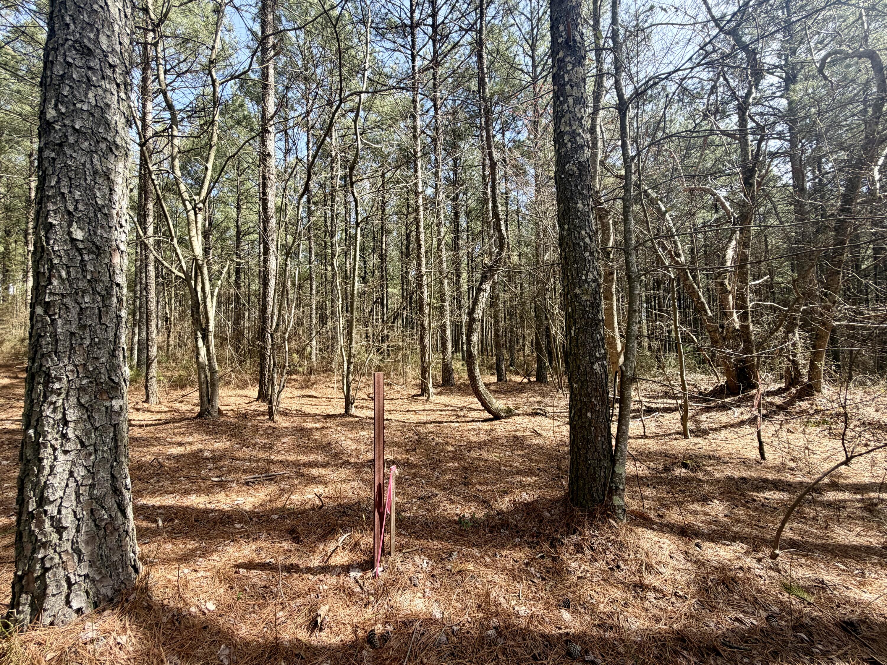 2076 Meditation Lane Guild, TN 37340 - Photo 10 of 28 IMG_1215