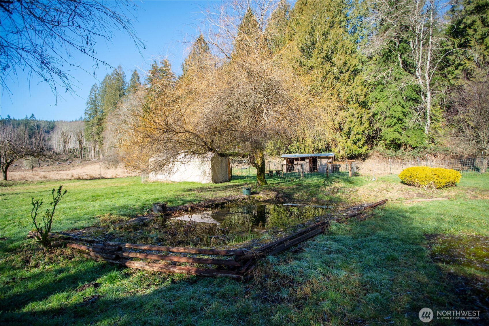371 Pigeon Springs Road Onalaska, WA 98570 - Photo 33 of 39