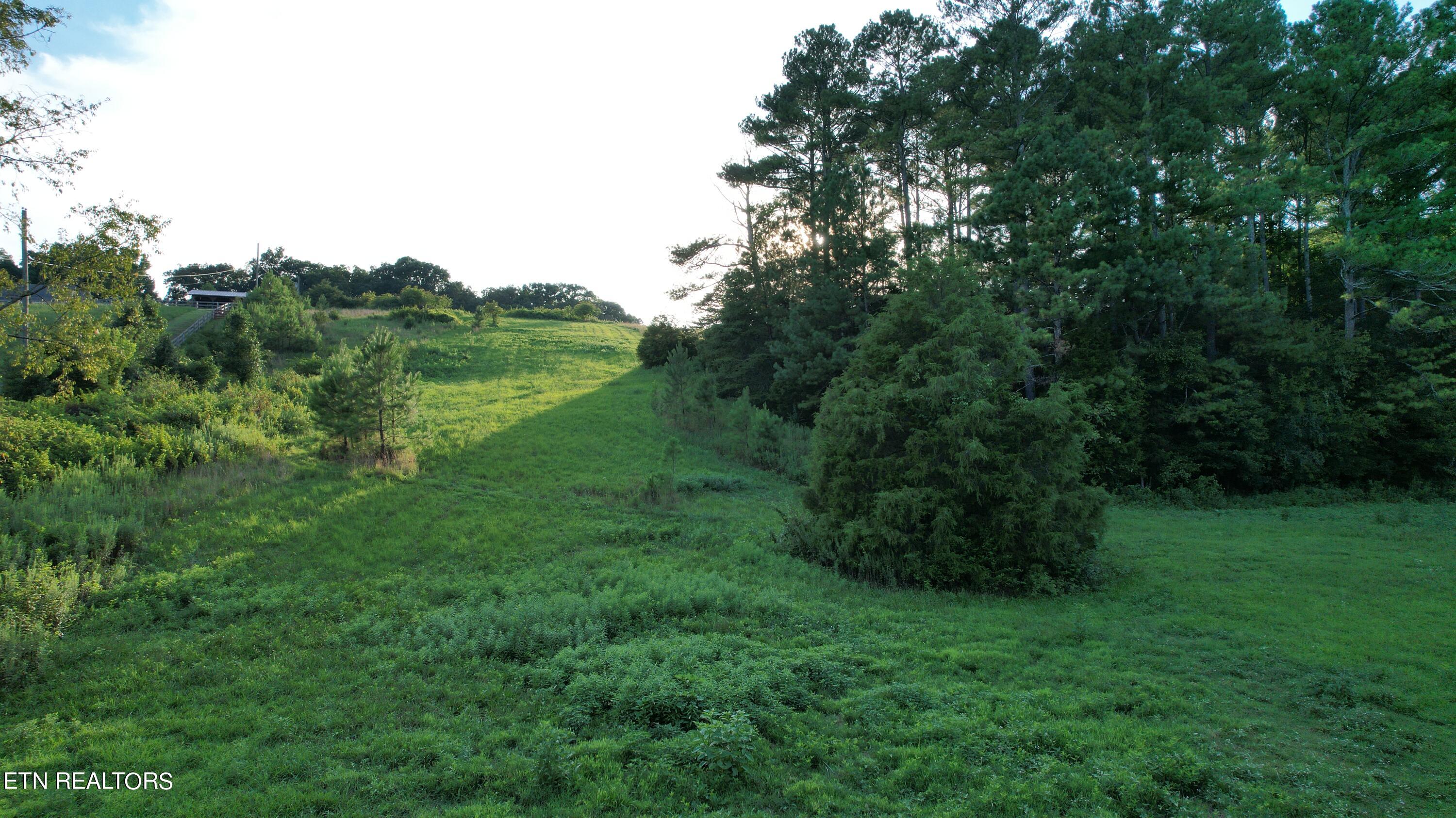 Ridge Road Maryville, TN 37801 - Photo 16 of 29 View From Street
