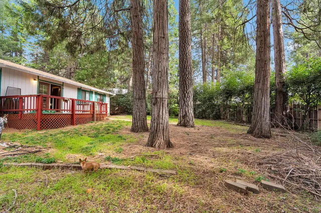 a view of a house with backyard and a tree