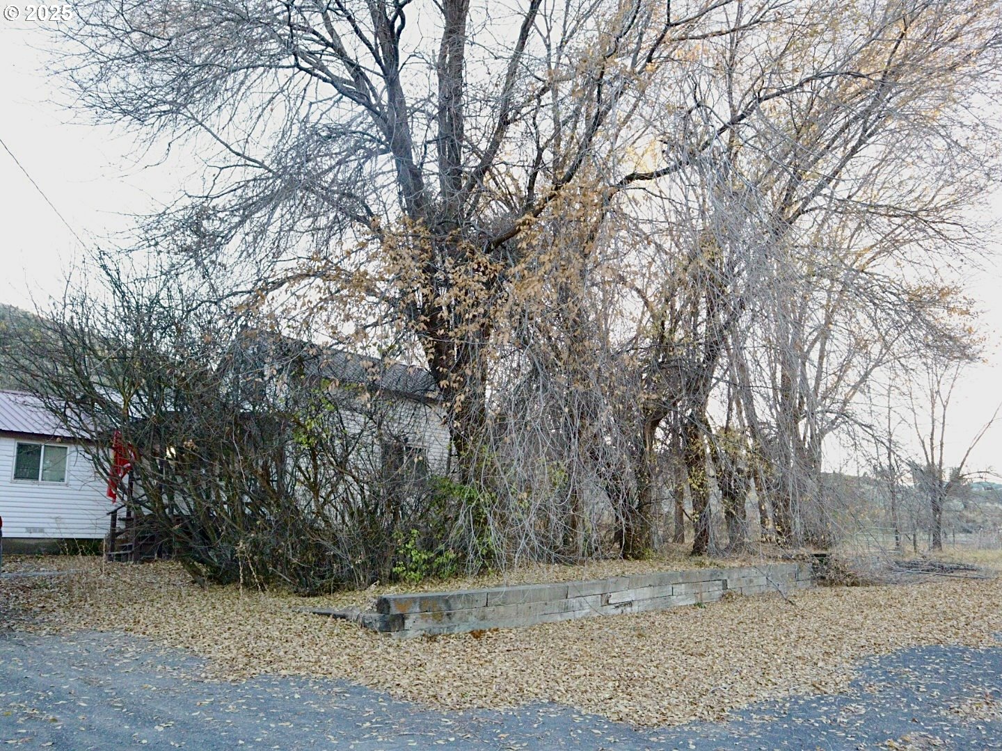 59720 Highway 26 John Day, OR 97845 - Photo 15 of 22 a view of a yard with a tree
