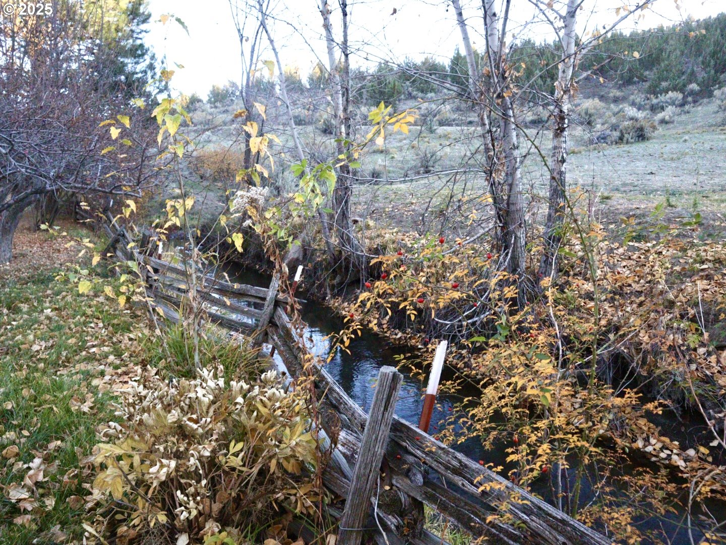 59720 Highway 26 John Day, OR 97845 - Photo 3 of 22