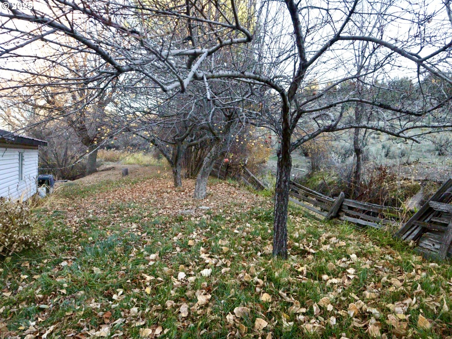 59720 Highway 26 John Day, OR 97845 - Photo 4 of 22 a backyard of a house with lots of green space