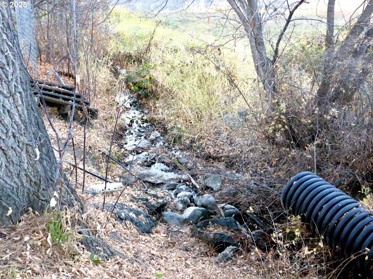 59720 Highway 26 John Day, OR 97845 - Photo 5 of 22 a view of balcony and wooden