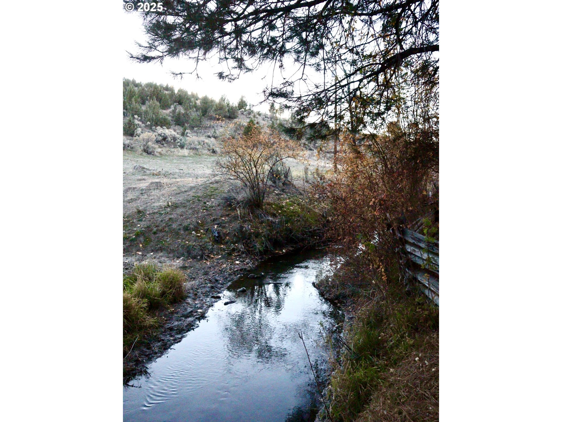 59720 Highway 26 John Day, OR 97845 - Photo 6 of 22 a view of a yard