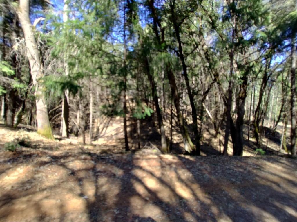 13928 Manion Canyon Road Grass Valley, CA 95945 - Photo 11 of 17