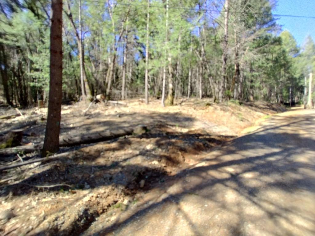 13928 Manion Canyon Road Grass Valley, CA 95945 - Photo 12 of 17