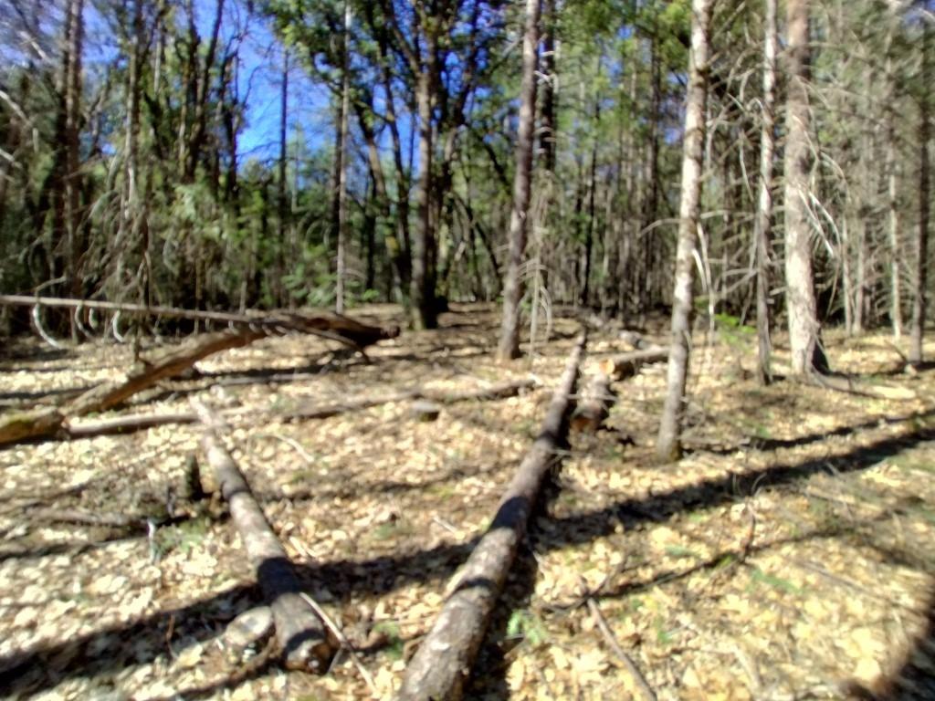 13928 Manion Canyon Road Grass Valley, CA 95945 - Photo 13 of 17