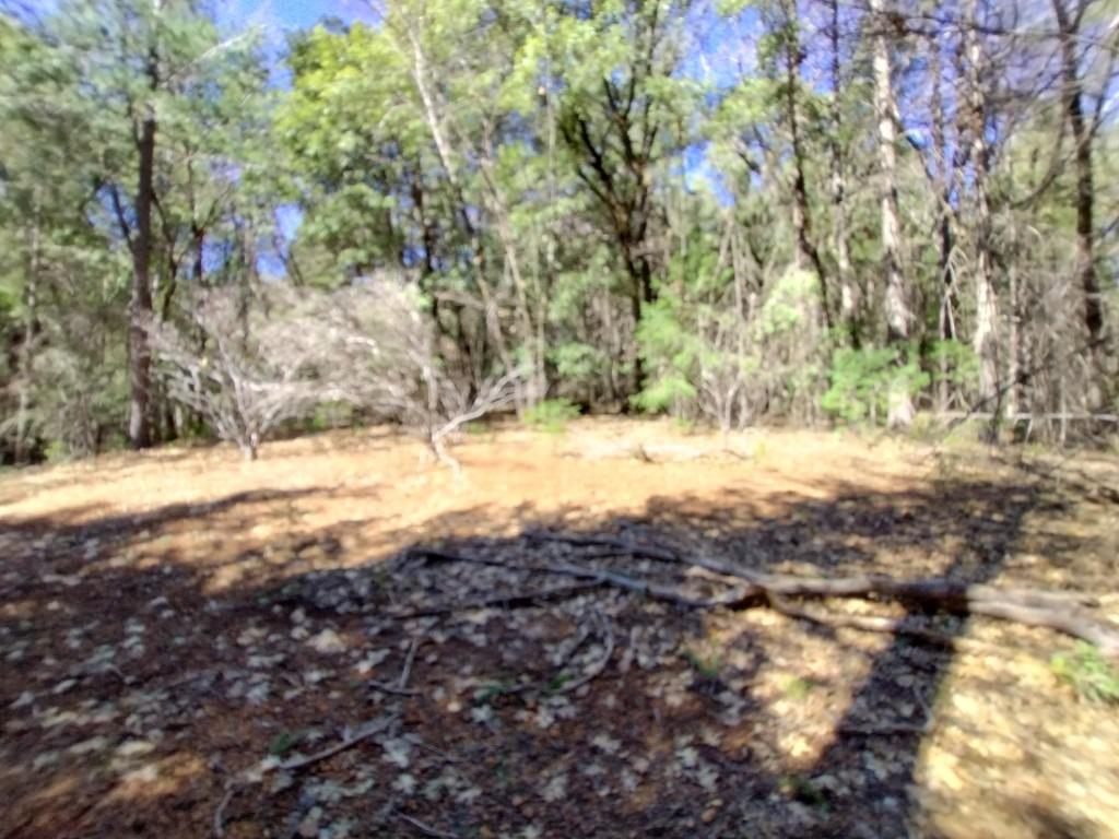 13928 Manion Canyon Road Grass Valley, CA 95945 - Photo 15 of 17