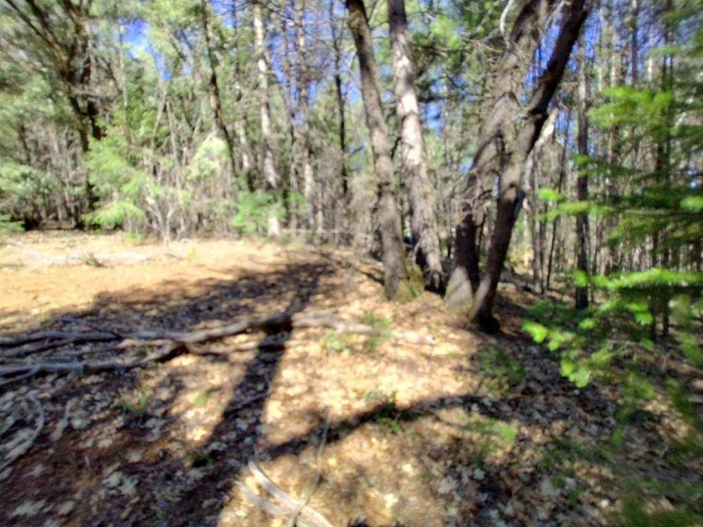 13928 Manion Canyon Road Grass Valley, CA 95945 - Photo 16 of 17