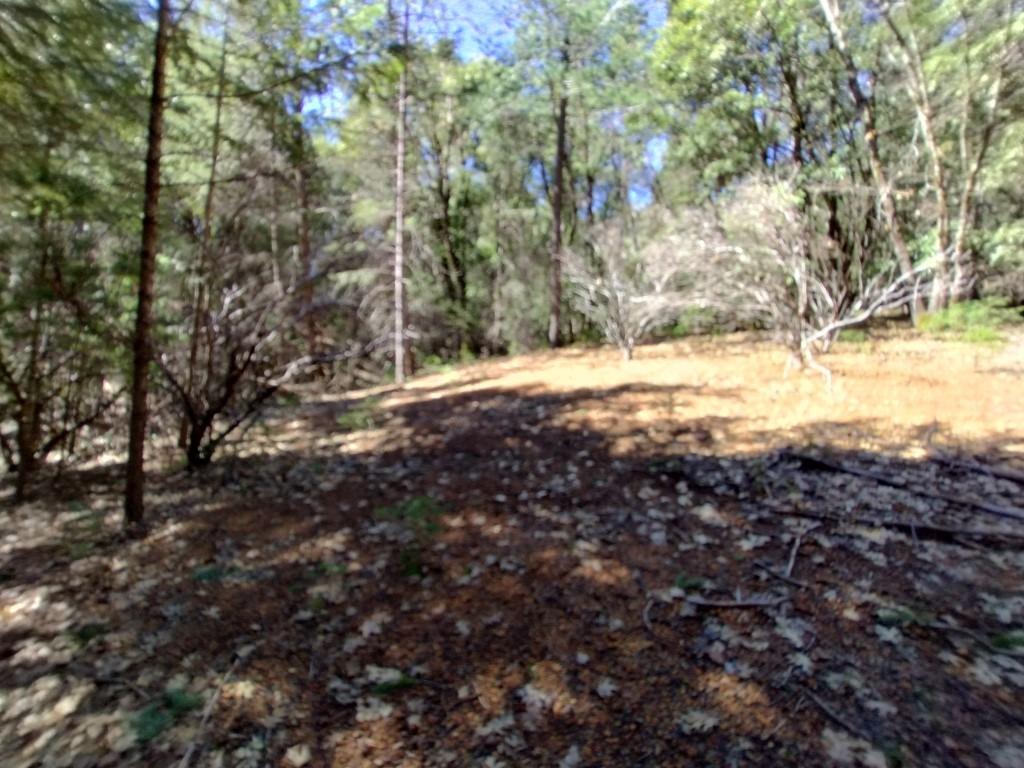 13928 Manion Canyon Road Grass Valley, CA 95945 - Photo 17 of 17