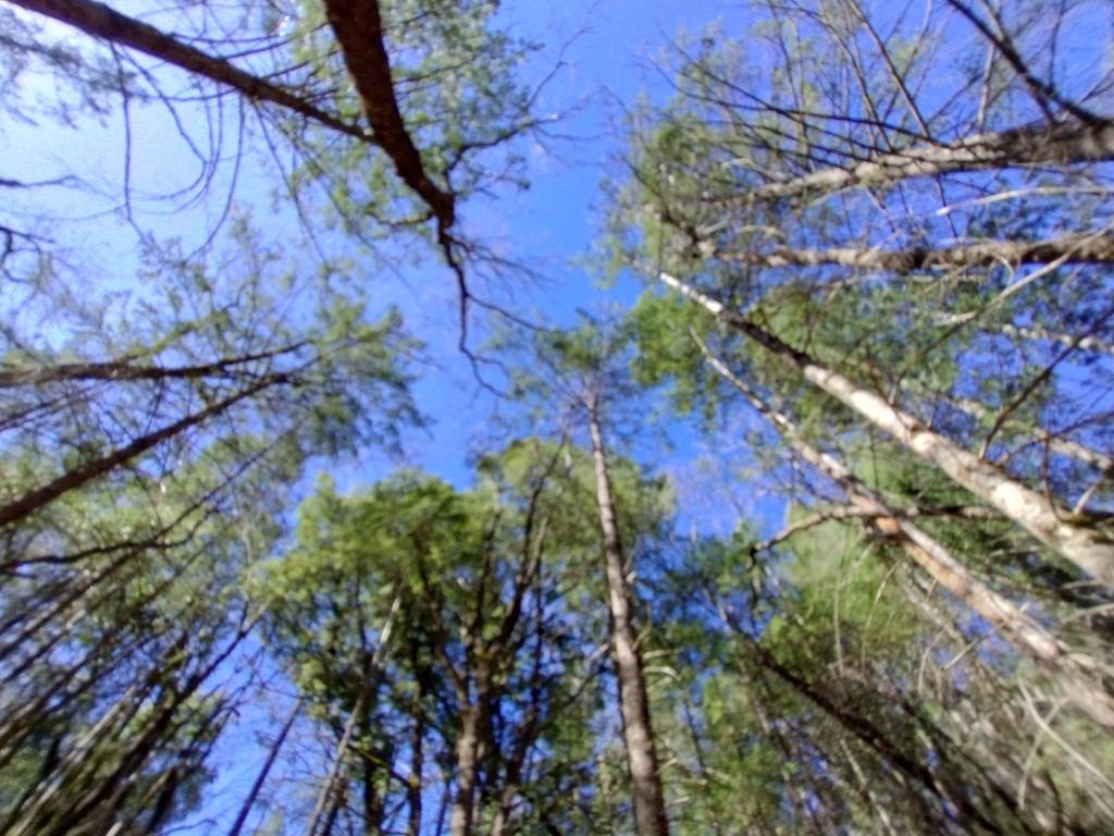 13928 Manion Canyon Road Grass Valley, CA 95945 - Photo 2 of 17