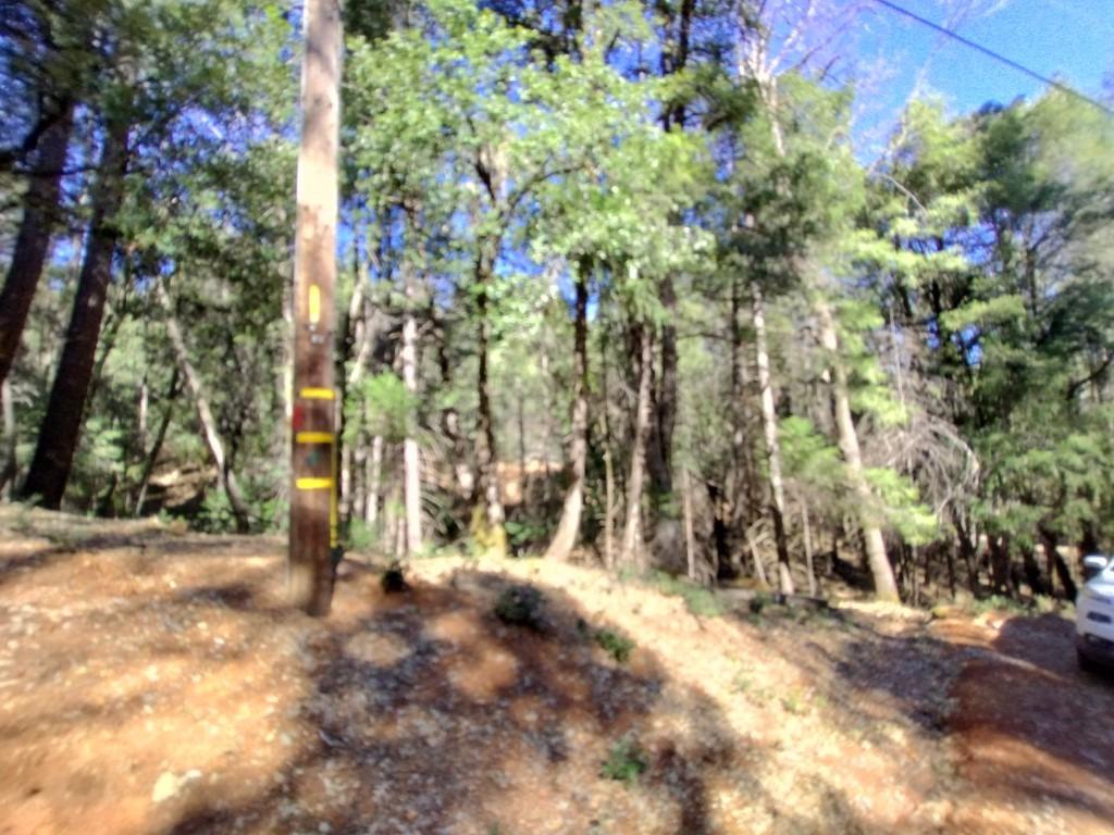 13928 Manion Canyon Road Grass Valley, CA 95945 - Photo 5 of 17