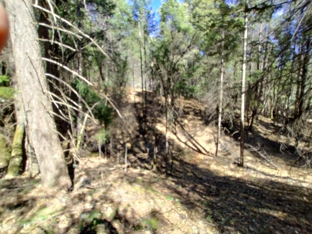 13928 Manion Canyon Road Grass Valley, CA 95945 - Photo 7 of 17