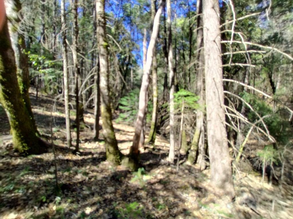 13928 Manion Canyon Road Grass Valley, CA 95945 - Photo 8 of 17