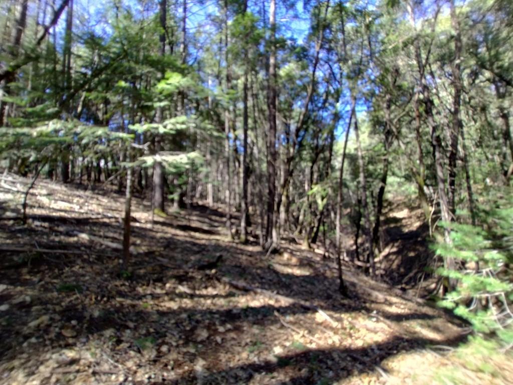 13928 Manion Canyon Road Grass Valley, CA 95945 - Photo 9 of 17