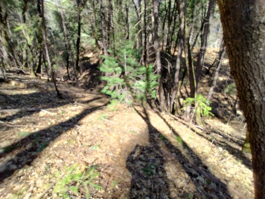 13928 Manion Canyon Road Grass Valley, CA 95945 - Photo 10 of 17