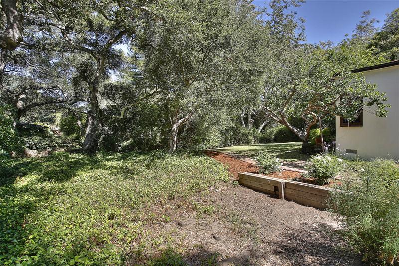 326 Canon Drive Santa Barbara, CA 93105 - Photo 15 of 16 a view of a yard with plants
