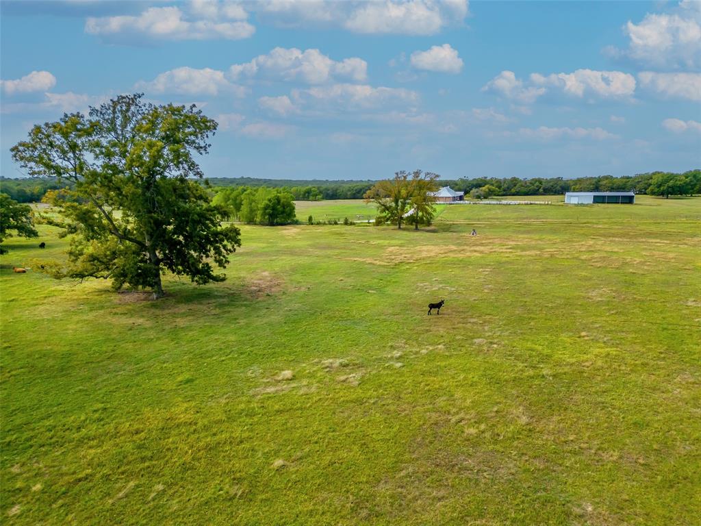 130-ac Tower Road Valley View, TX 76272 - Photo 6 of 9