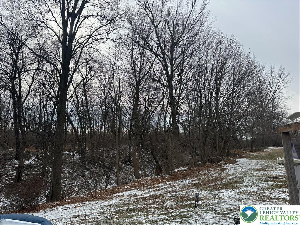 1157 Blue Barn Road Allentown, PA 18104 - Photo 20 of 23 a view of a tree with a yard