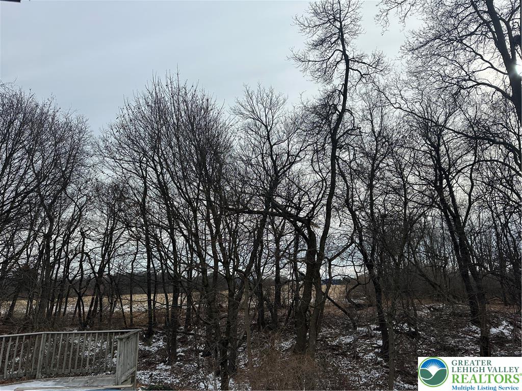 1157 Blue Barn Road Allentown, PA 18104 - Photo 21 of 23 a view of tree
