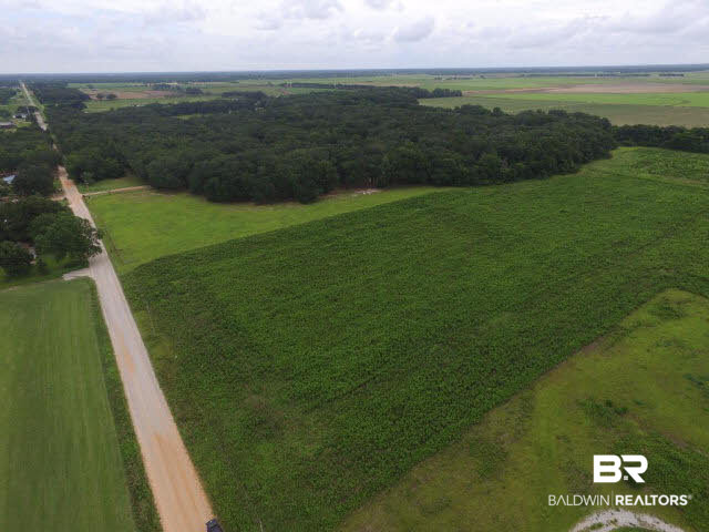 9510 Sherman Road Foley, AL 36535 - Photo 5 of 6