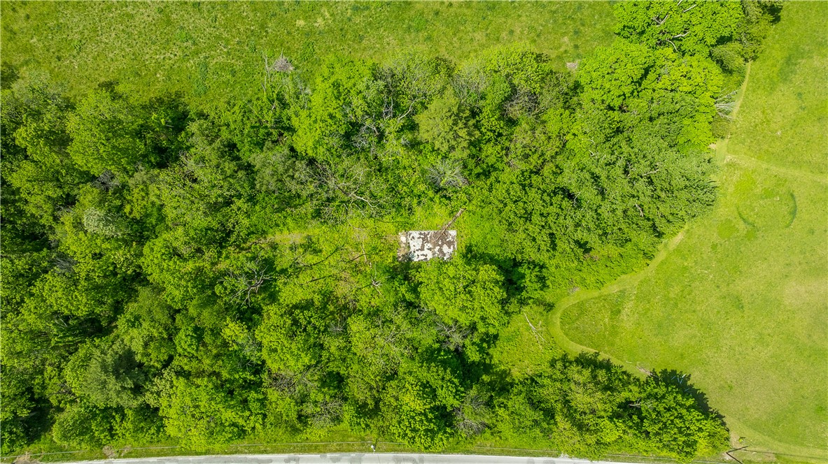 4617 Bath Road Dayton, OH 45424 - Photo 3 of 8 Discover this verdant lot, offering ample natural surroundings and abundant privacy.