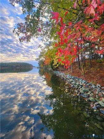 a view of a yard with plants and trees