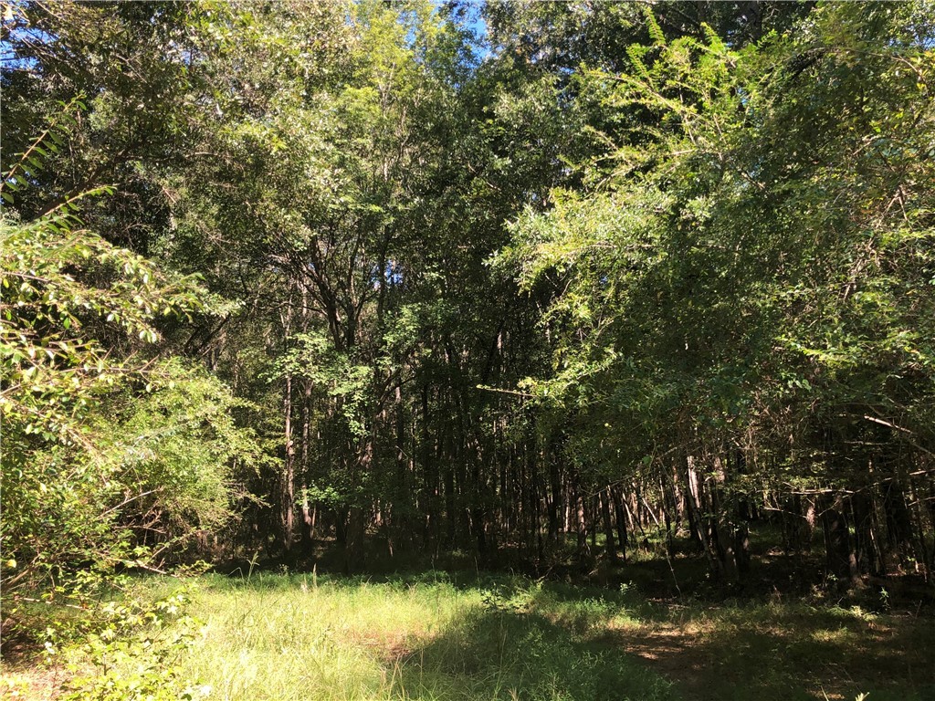 1 Griffin Road Belton, SC 29627 - Photo 10 of 29