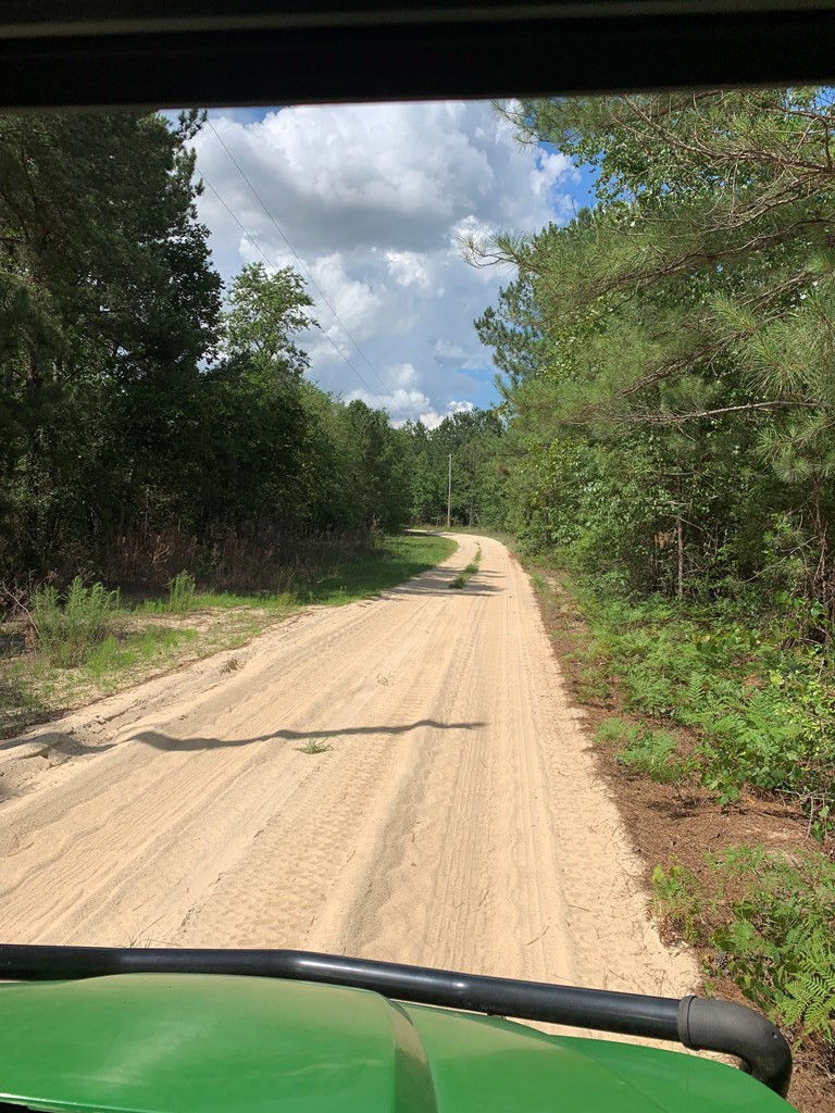 0 Paul Road Monetta, SC 29105 - Photo 10 of 14