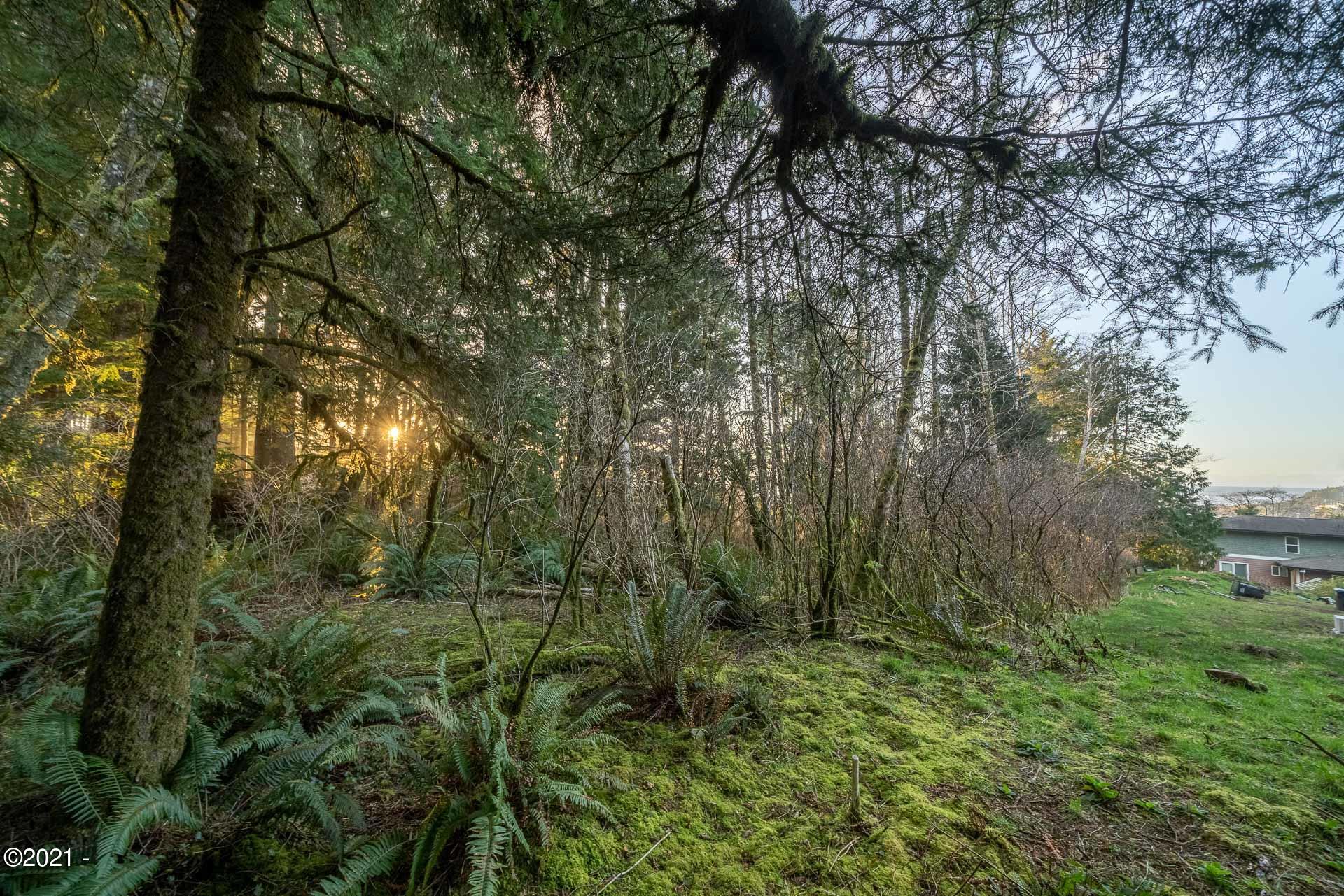 158 Highway 101 Yachats, OR 97498 - Photo 10 of 21 _DSC4687-HDR