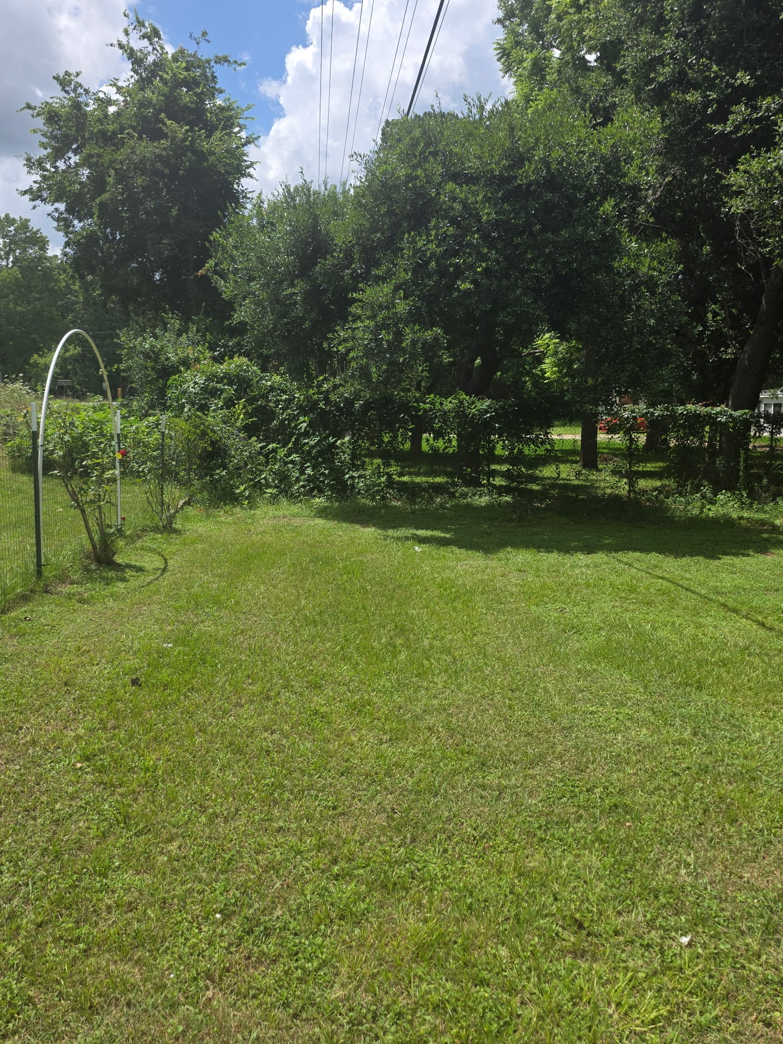 11 Pine Road Coldspring, TX 77331 - Photo 24 of 32 a backyard of a house with lots of green space
